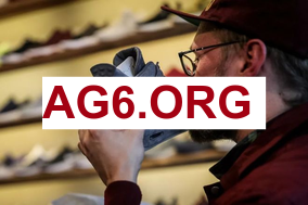 焦点场直播：布伦特福德 vs 利物浦